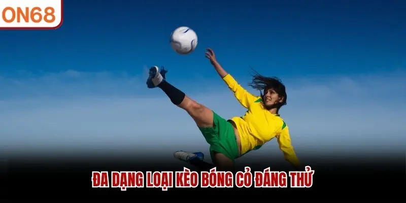 Đa dạng loại kèo bóng cỏ đáng thử